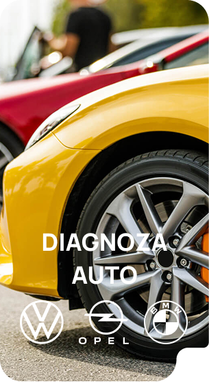 Diagnoză auto